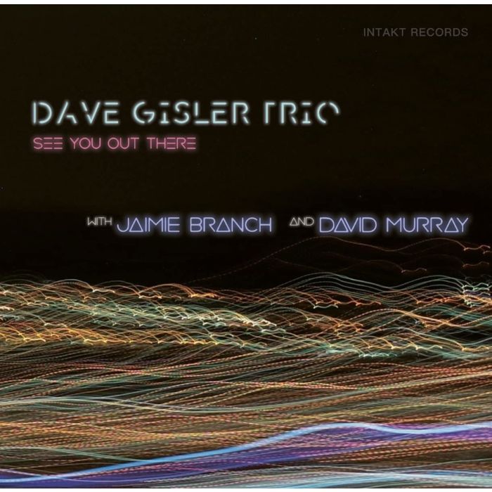 DAVE GISLER TRIO W. JAIMIE BRANCH & DAVID MURRAY - SEE YOU OUT THERE