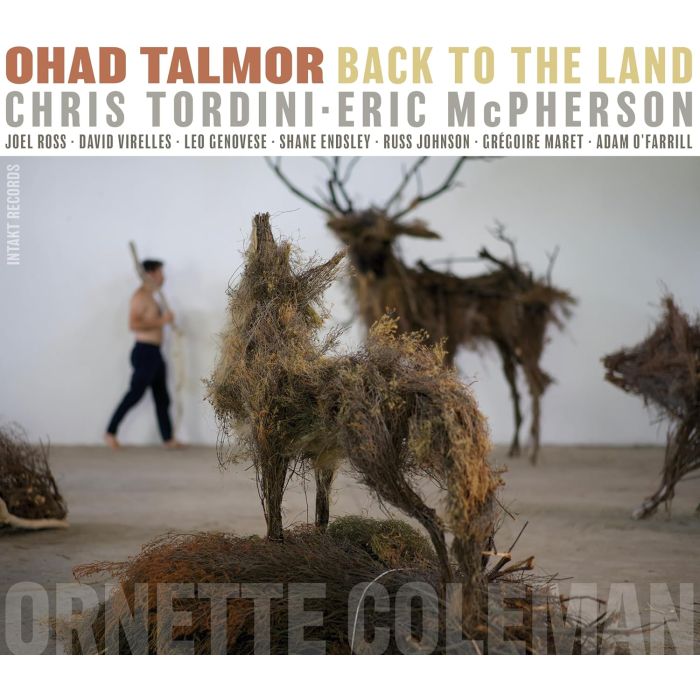OHAD TALMOR - BACK TO THE LAND
