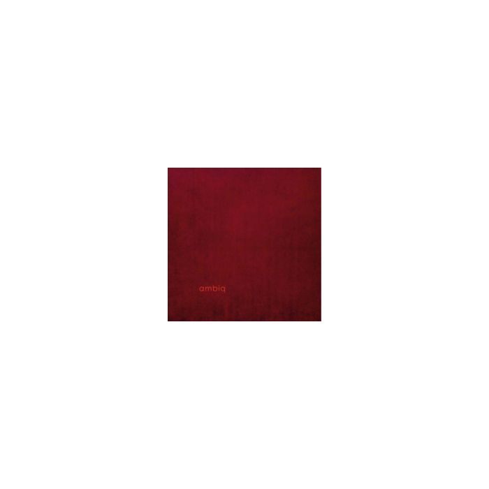 AMBIQ - AMBIQ