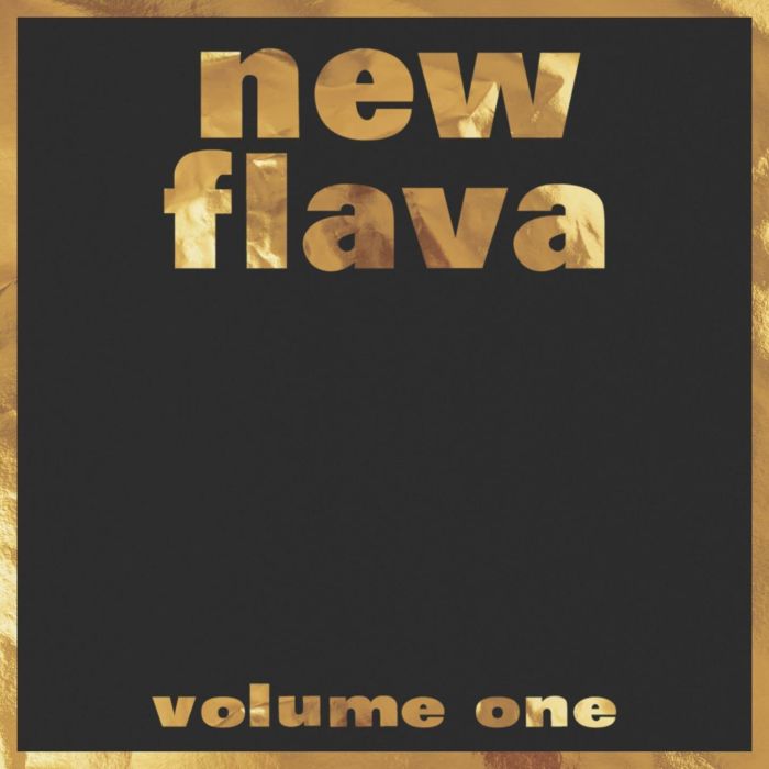 VARIOUS ARTISTS - NEW FLAVA VOL. 1