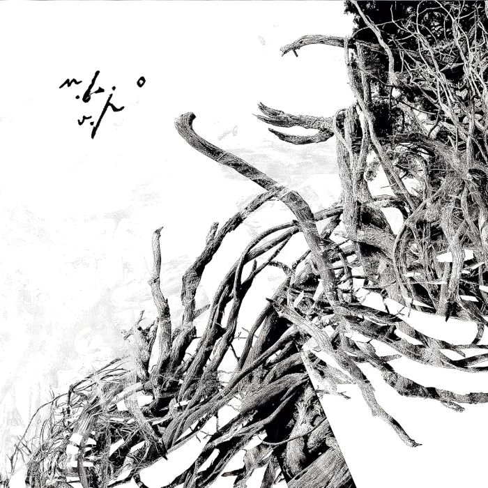 NEGURA BUNGET - VIRSTELE PAMINTULUI