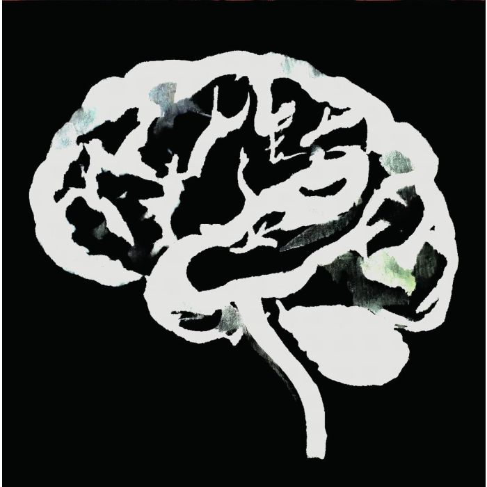 RUINS - BRAIN FLAKES (THE LOST COMBO TAPES)