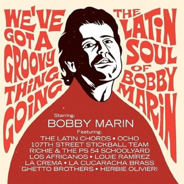 VARIOUS ARTISTS - WE'VE GOT A GROOVY THING GOING: THE LATIN SOUL OF BOBBY MARIN (2L