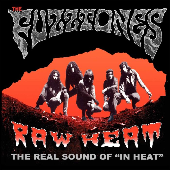 FUZZTONES - RAW HEAT: THE REAL SOUND OF IN HEAT