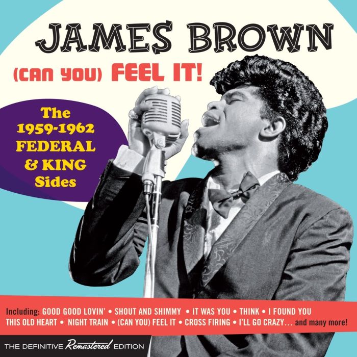 JAMES BROWN - CAN YOU FEEL IT: THE 1959 - 1962 FEDERAL & KING SIDES