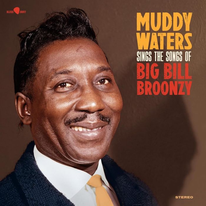 MUDDY WATERS - SINGS BIG BILL