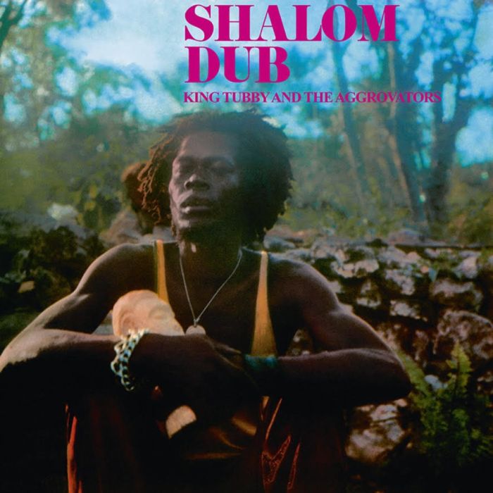 KING TUBBY & AGGROVATORS - SHALOM DUB