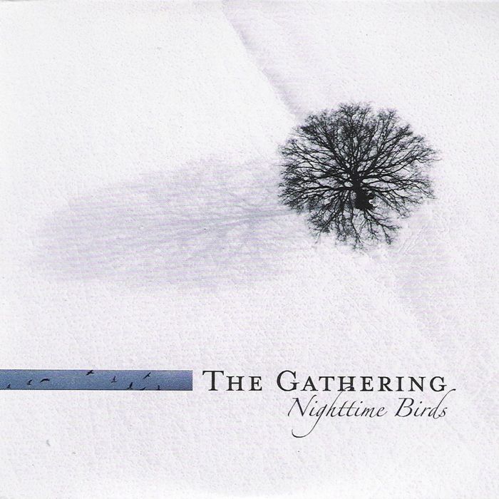 GATHERING - NIGHTTIME BIRDS