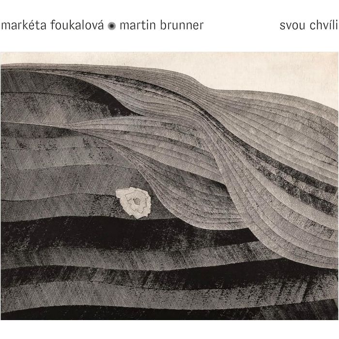 MARKETA; MARTIN BRUNNER FOUKALOVA - BRUNNER & KOUBOVA: SVOU CHVILI