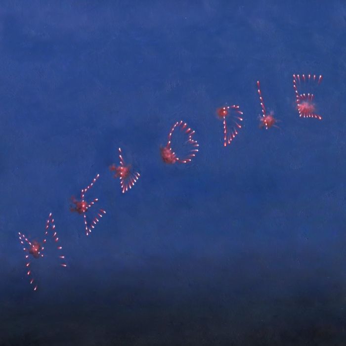 Slow Pulp - Melodie
