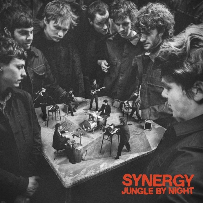 JUNGLE BY NIGHT - SYNERGY