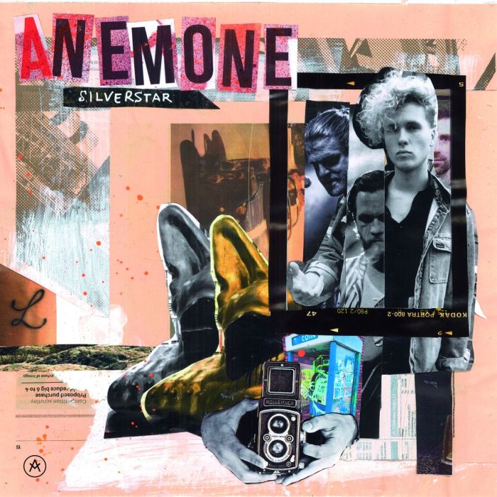 Anemone - Silver Star