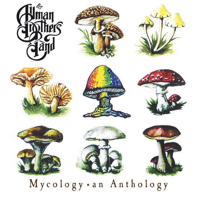 ALLMAN BROTHERS BAND - MYCOLOGY: AN ANTHOLOGY (IMPORT)