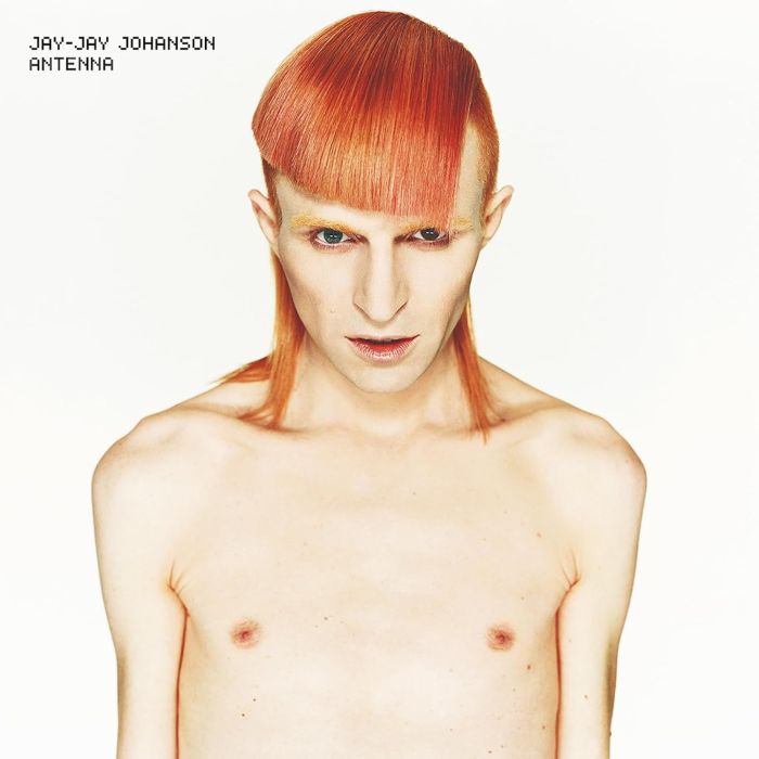 JAY-JAY JOHNSON - ANTENNA (WHITE VINYL/180G)
