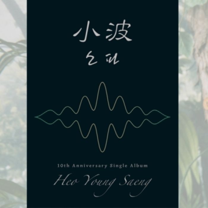 HEO YOUNG SAENG - HEO YOUNG SAENG (10TH ANNIVERSARY SINGLE ALBUM/?? VER.)