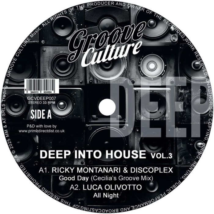 VARIOUS ARTISTS - DEEP INTO HOUSE VOL. 3