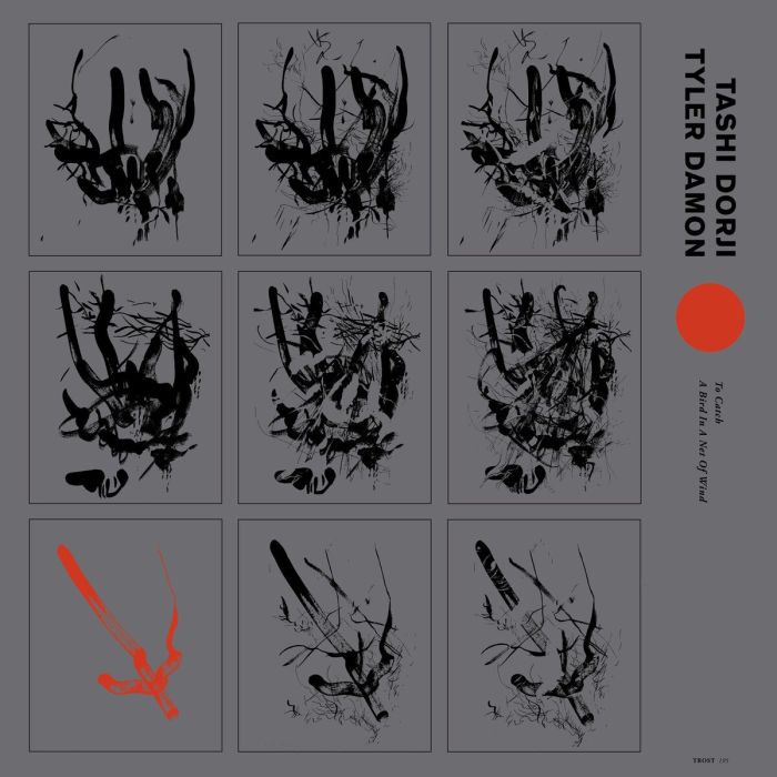 DORJI,TASHI & TYLER DAMON - TO CATCH A BIRD IN A NET OF WIND