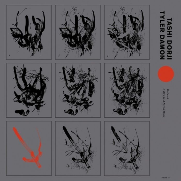 DORJI,TASHI & TYLER DAMON - TO CATCH A BIRD IN A NET OF WIND