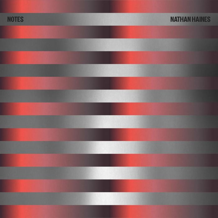 HAINES HAINES - NOTES (2LP)