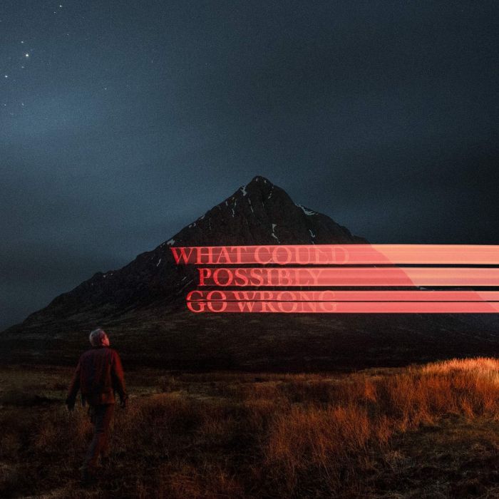 DOMINIC FIKE - WHAT COULD POSSIBLY GO WRONG (140G/POSTER)