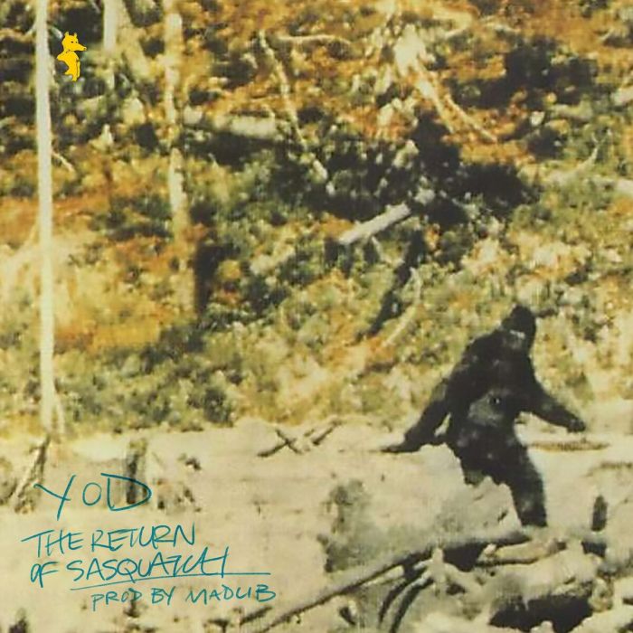 YOUR OLD DROOG - RETURN OF SASQUATCH (PICTURE DISC)