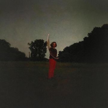 STEVE SALETT - FIRST LANDING