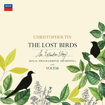 CHRISTOPHER TIN - LOST BIRDS
