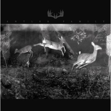 ANTLER FAMILY - ANTLER FAMILY