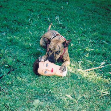 JOYCE MANOR - CODY (DL CARD)