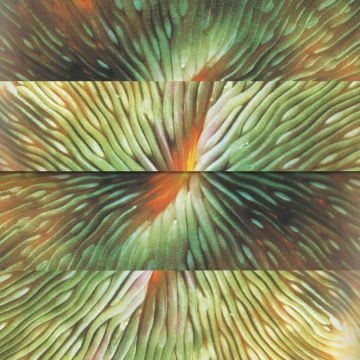 ACTIVE SURPLUS - MIRRORING
