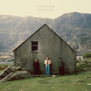 KINGFISHR - HALCYON
