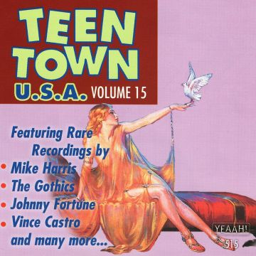 VARIOUS ARTISTS - TEEN TOWN USA, VOL. 15 (MIKE HARRIS-JOHNNY FORTUNE-VINCE CASTRO &