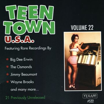 VARIOUS ARTISTS - TEEN TOWN USA, VOL. 22-BIG DEE IRWIN-TRAVELERS-TREASURES & MORE