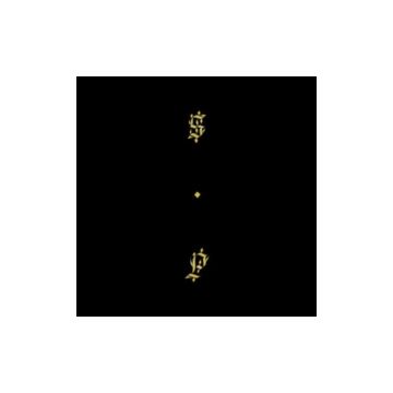 SHABAZZ PALACES - BLACK UP