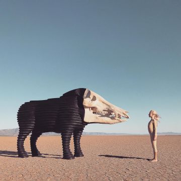 MAN MAN - DREAM HUNTING IN THE VALLEY OF THE IN-BETWEEN