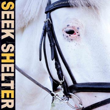 ICEAGE - SEEK SHELTER