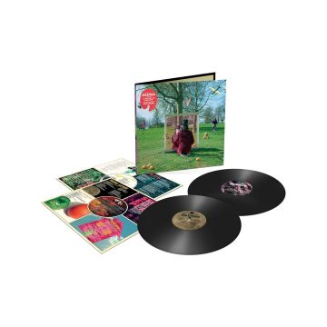 SYD BARRETT - AN INTRODUCTION TO SYD BARRETT