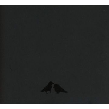 SIGUR ROS - ODIN'S RAVEN MAGIC (HILMAR ORN HILMARSSON, STEINDOR ANDERSEN & MA