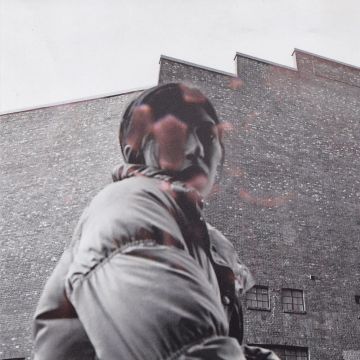 ALDOUS HARDING - WARM CHRIS