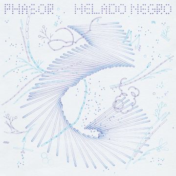HELADO NEGRO - PHASOR