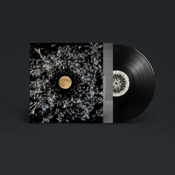 LISA O'NEILL - ALL OF THIS IS CHANCE