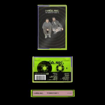 SLEAFORD MODS - DEMISE OF PLANET X