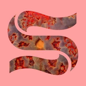 SMITH,KAITLYN AURELIA & JOE GODDARD - NEPTUNES EP
