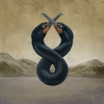 SAN FERMIN - CORMORANT I & II