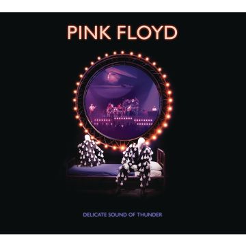 PINK FLOYD - DELICATE SOUND OF THUNDER