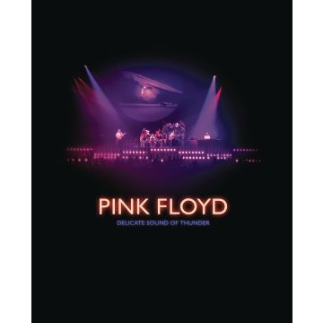 PINK FLOYD - DELICATE SOUND OF THUNDER