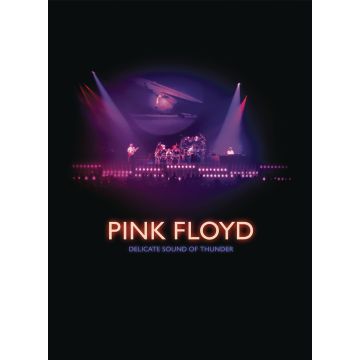 PINK FLOYD - DELICATE SOUND OF THUNDER