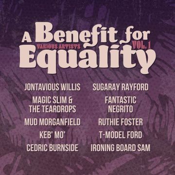 VARIOUS ARTISTS - BENEFIT FOR EQUALITY VOL. 1