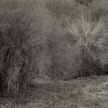 K. LEIMER - ATROPHIES FOR PIANO