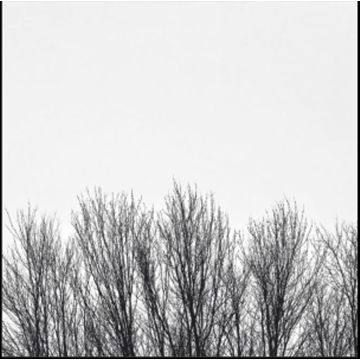 NORTHWOODS IMPROVISERS - WHITE SKY